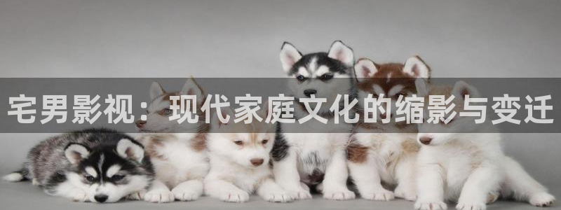 泡泡影视片哈