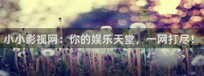 泡泡影院伦理