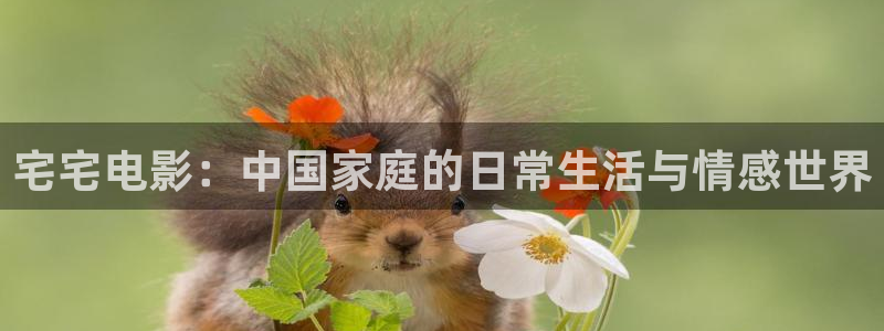 泡泡影视：宅宅电影：中国家庭的日常生活与情感世界