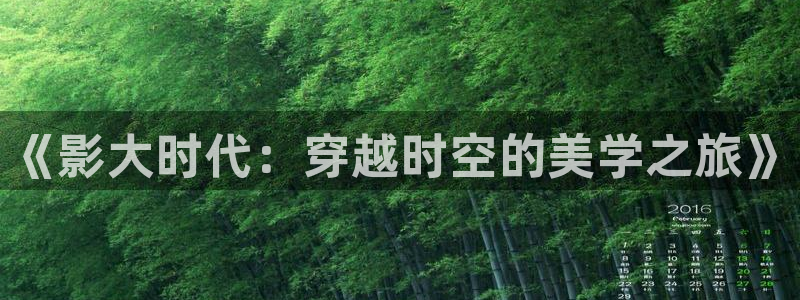 泡泡影视天堂手机版：《影大时代：穿越时空的美学之旅》