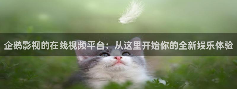 泡泡在线电影