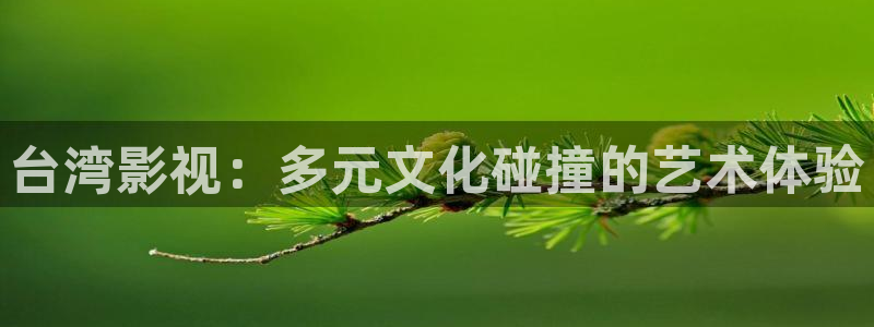 泡泡影视快播